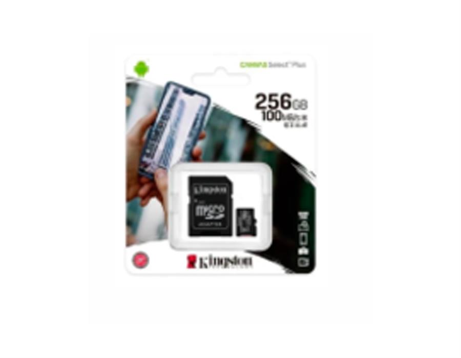 MICRO SD  256GB CANVAS SELECT PLUS
