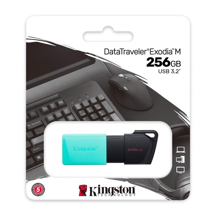 PENDRIVE 256GB  3.2 DTXM CIAN